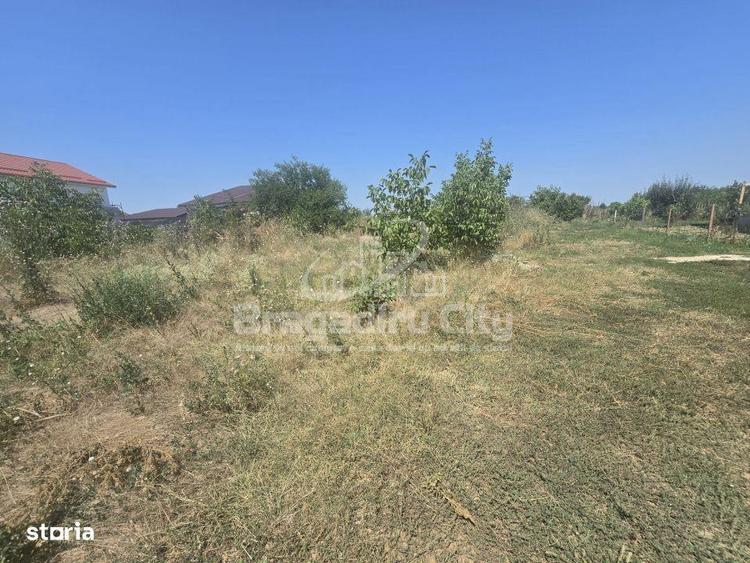 Teren parcela 545mp Drumul Targului Domnesti - 5