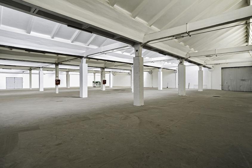 Hala Industriala de inchiriat 1.174 mp cu rampa egalizatoare, Arad - 9