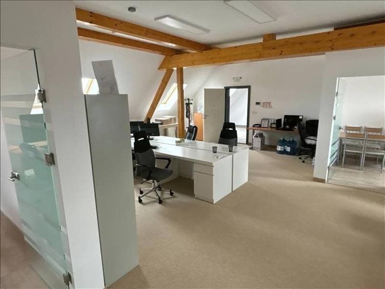 Spatiu de inchiriat in Iosefin - 5