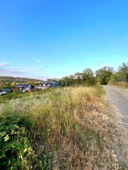 Teren de vânzare Cisnădioara – 2 parcele a câte 1.250 mp, utilități pe teren - 6