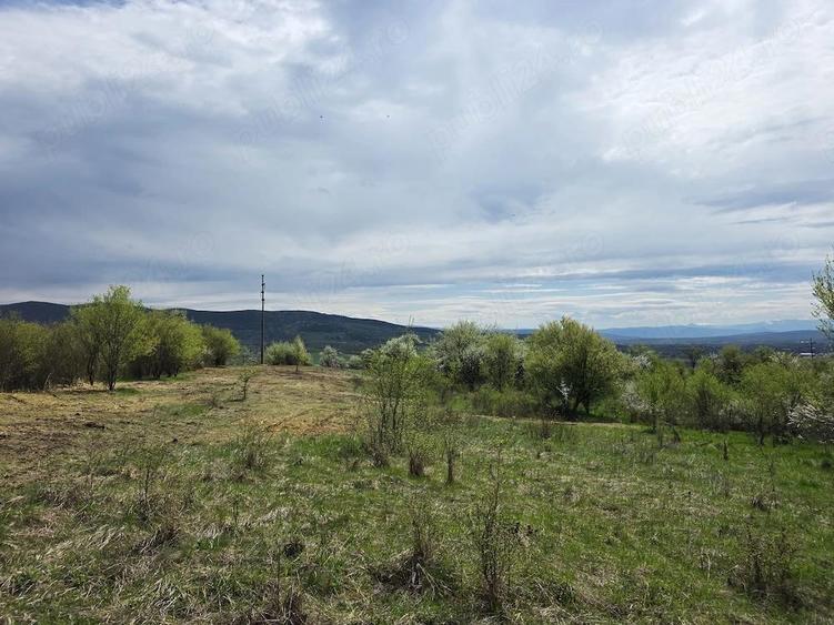 De vanzare teren intravilan 6704 mp Barsau, jud. Hunedoara - 12