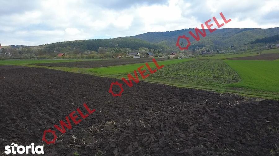 Teren intravilan de vanzare in Bicfalau! - 7