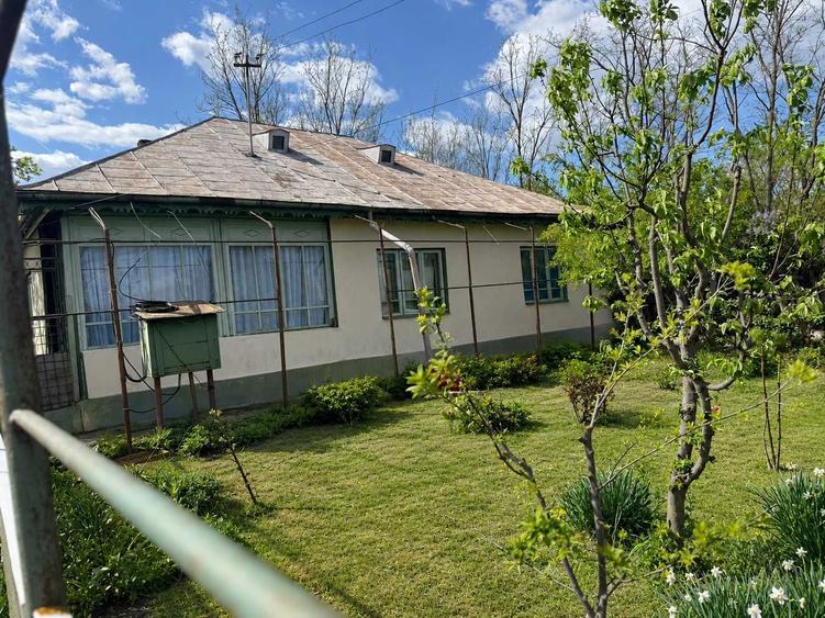 Vand casa locuibila teren 1.770 mp - strada asfaltata, utilitati, C.A. Rosetti Buzau - 1
