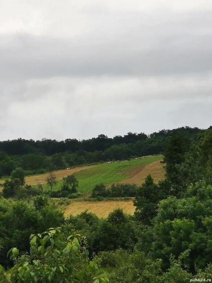 Casa zona de padure - 2