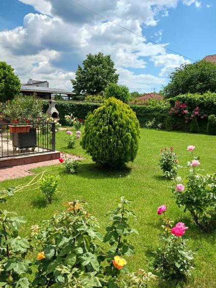 Casa Domnesti, str Putul Olteni, 5 camere, 156 mp utili - 2
