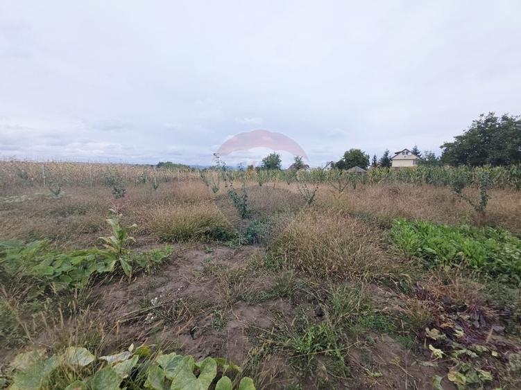 Casă cu livadă și teren generos – Girov - 45