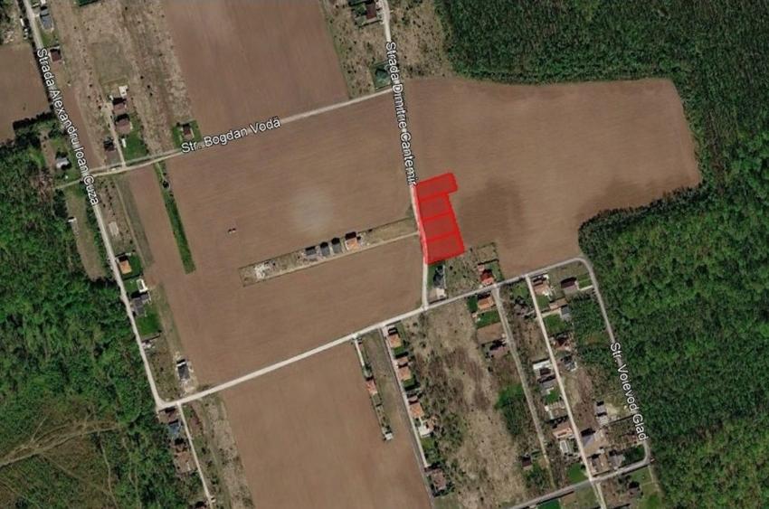 Snagov Ciofliceni Padure - 8