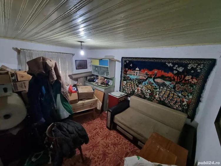 A 13. 20000 mp teren ?i 3 constructii casa in judetul Bacau - 14