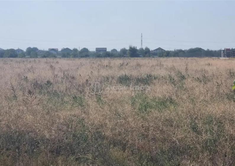 Teren 25000 la 4 benzi deschidere 70m - 2