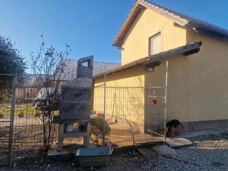 Spa?iu comercial cu casa zona A - 2