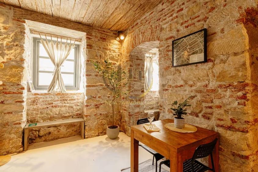 Cluj Napoca Apartament cu farmec istoric 40 mp, parter, in centrul orasului - 16