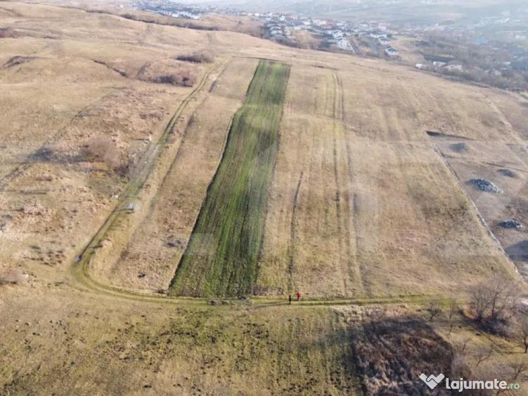 De vanzare teren Chinteni cu panorama - 1