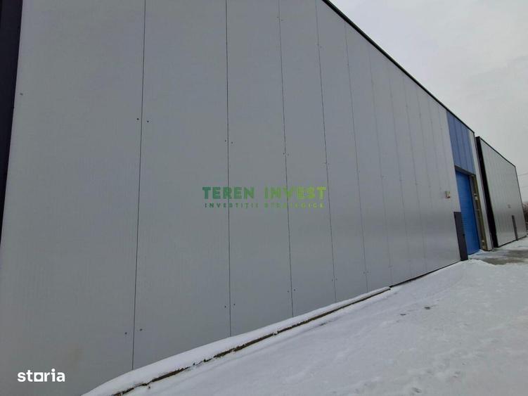Vanzare hala depozitare - Drumul Intre Tarlale - 19