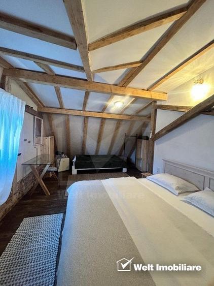 Oportunitate de business, zona ultracentrala, 8 camere - 23