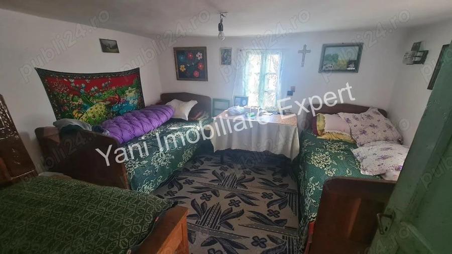 Casa batraneasca + 10.076 mp teren de vanzare in comuna Cepari, Jude? Arge?. - 6