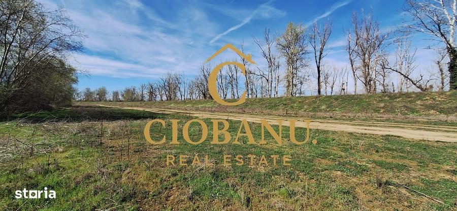 Casa de vanzare in Leamna de Jos - 16