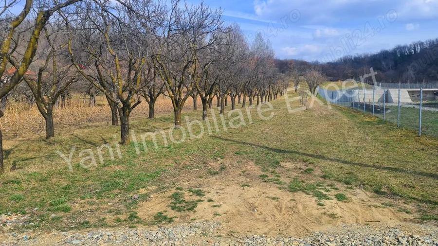 Teren de vanzare in comuna Albe?tii de Arge?, jude? Arge?. - 2