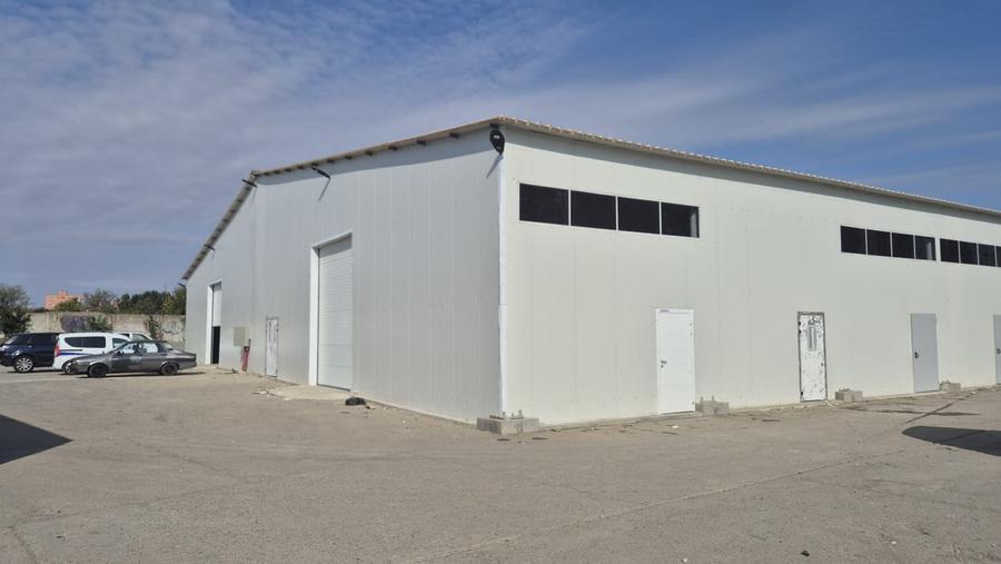 HALA | HALTA TRAIAN | SERVICE | DEPOZITARE - 6