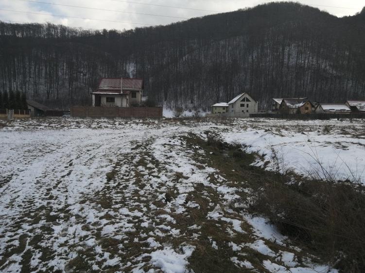 Teren de vanzare - 1