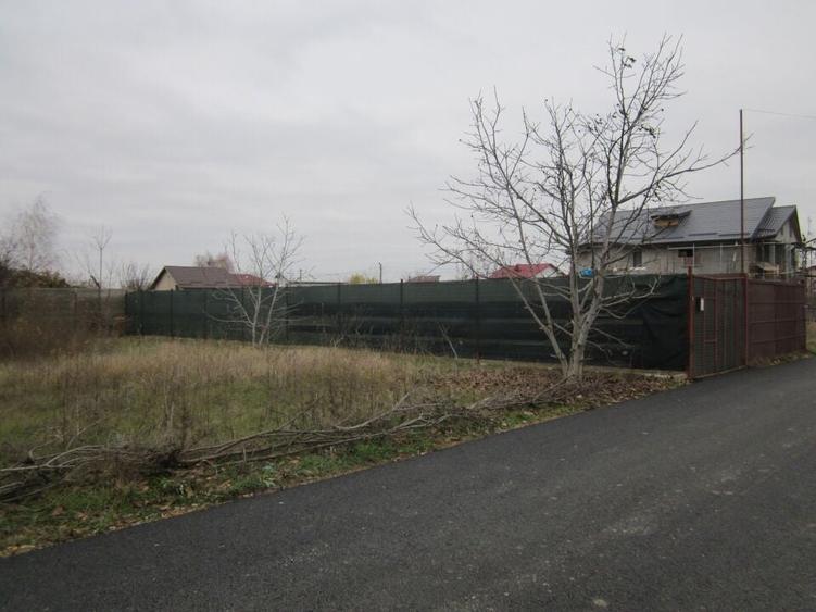 Drumul Targului-Stelelor - 12