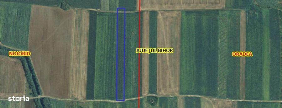 Teren Extravilan Nojorid - 1