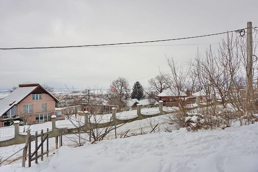 Teren Intravilan - Pretabil Dezvoltare Rezidentiala - 3