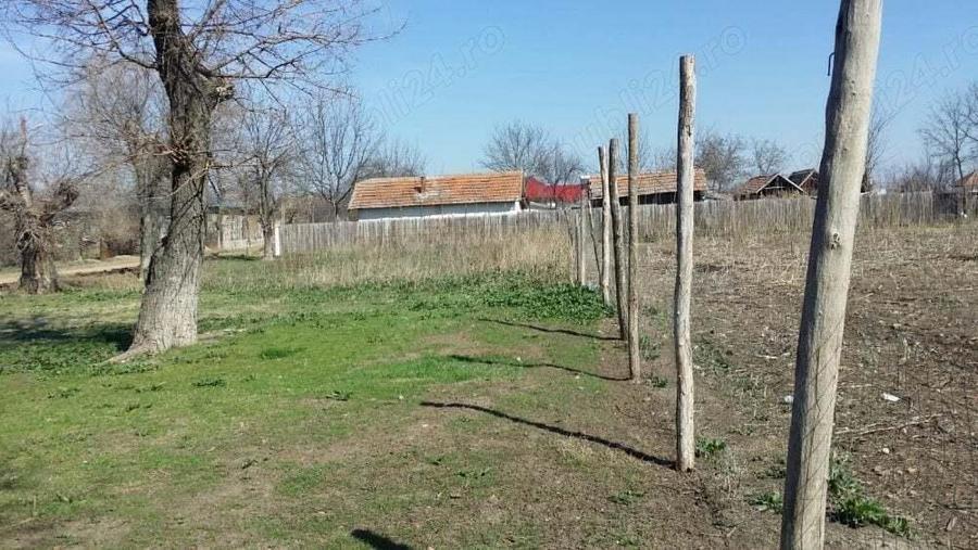 2(doua) teren intravilan in localitatea Giurgi?a, judetul Dolj. - 7