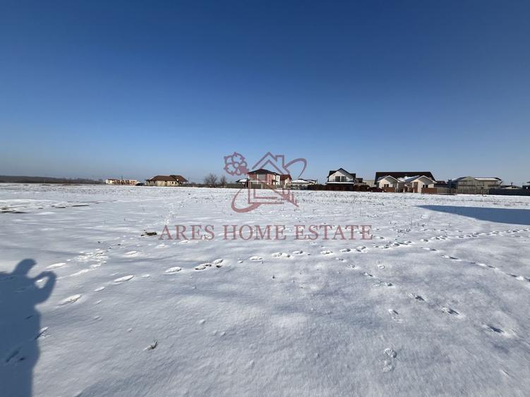 Teren intravilan cu toate utilitatile. Mosnita Veche - 4