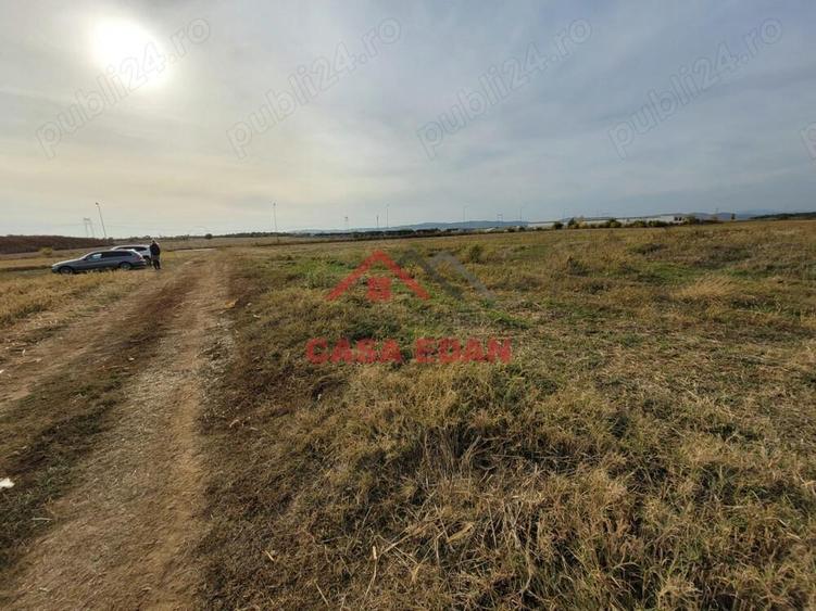 Teren intravilan in Baicoi zona targului--10.000mp--5e - 2