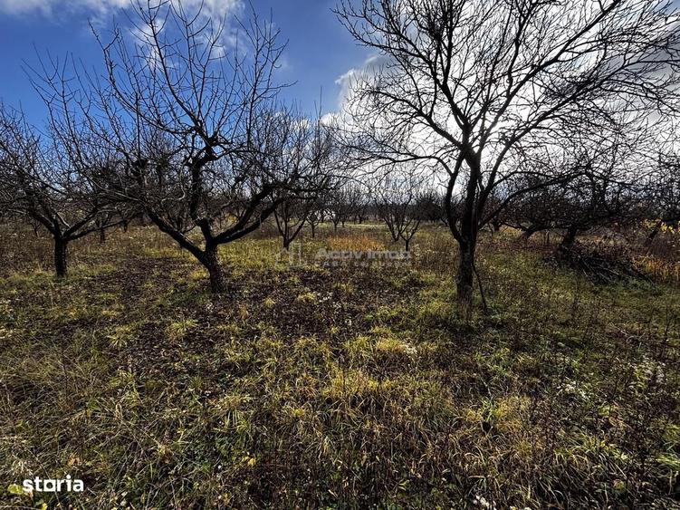 Teren Intravilan Str Livezilor - 7