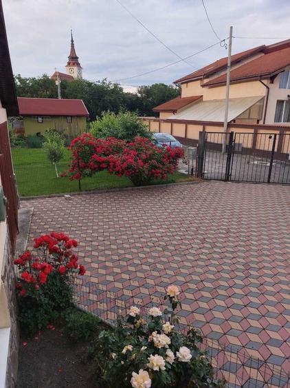 Garsoniera gratuita la casa (contra menaj)Sanpetru-utilitati incluse - 1