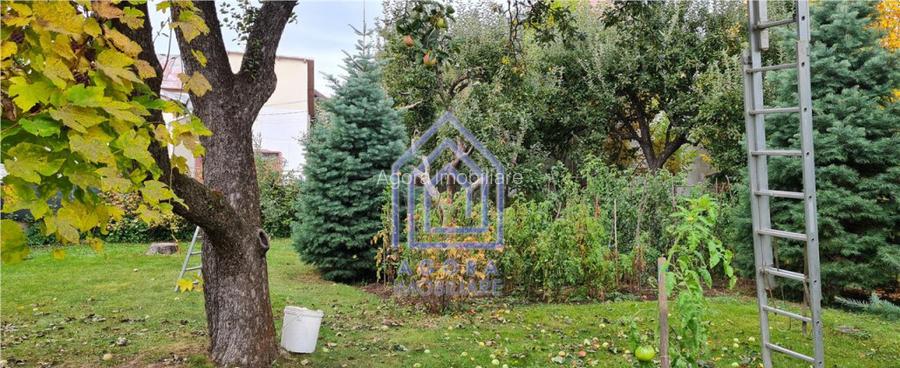 Teren central Suceava