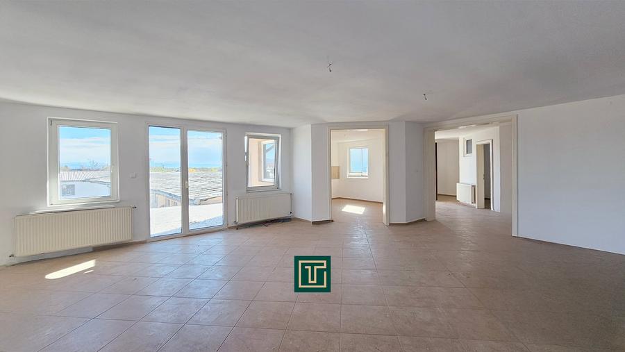 Proprietate multifunctionala - teren generos, cladire si hala in Lugoj - 9