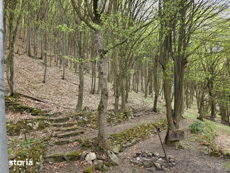 Cabana Iezer Ighiel panorama superba, liniste si potential de inve - 11