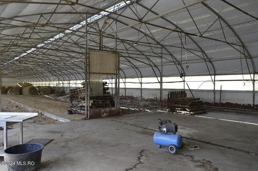 Bogati - Glimbocel, ferma zoo, cladiri autorizate DSV, teren 8766 mp! - 4