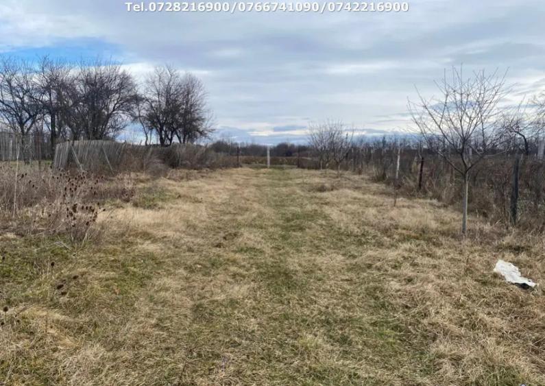 Casa situata in orasul Targu-Carbunesti , Localitatea Flor - 1