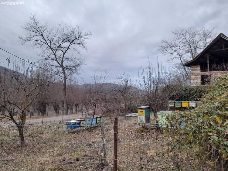 Vand constructie in zona montana ,Corbi ,jud Ag.Facilitati,apa curent ,gaze naturale ,asfalt la poar - 7