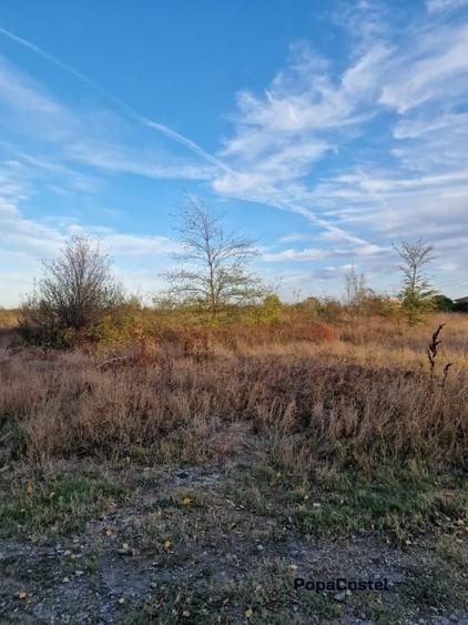 OCAZIE! Balotesti - Narciselor teren intravilan 427 mp desch. 20 m, utilitati - 1