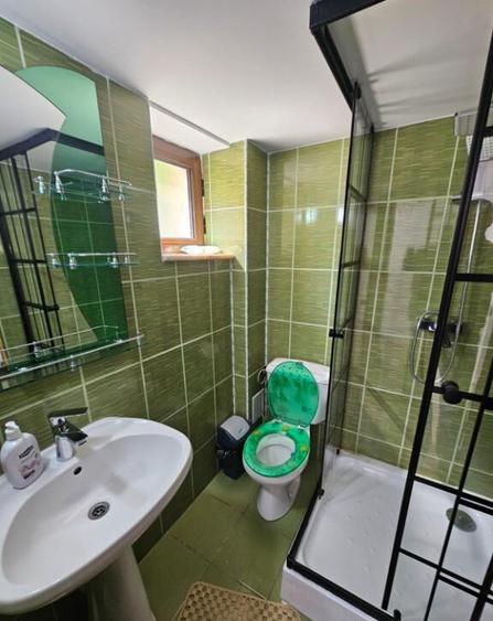 Vila Vetel zona Valea Caoi-OFERTA SPECIALA DE SARBATORI - 3