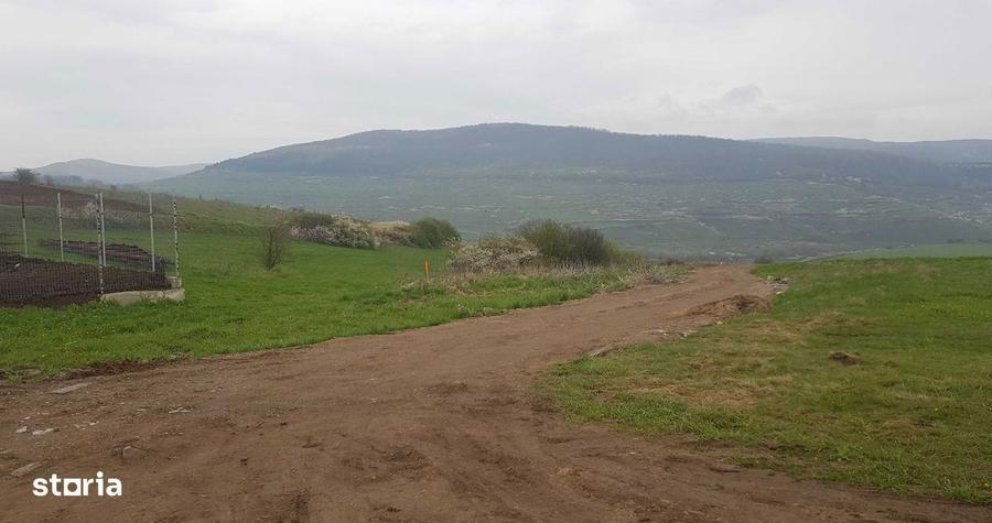 Teren intravilan 1000 mp, cu PUZ, zona platoului Radaia - 3