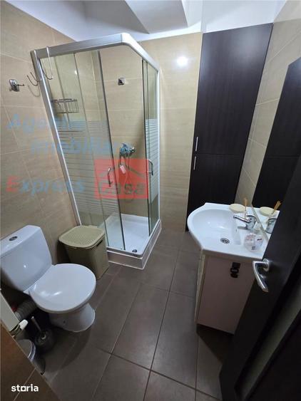 Apartament de inchiriat - 2 camere, Iulius Mall, cu acces la gradina - 7