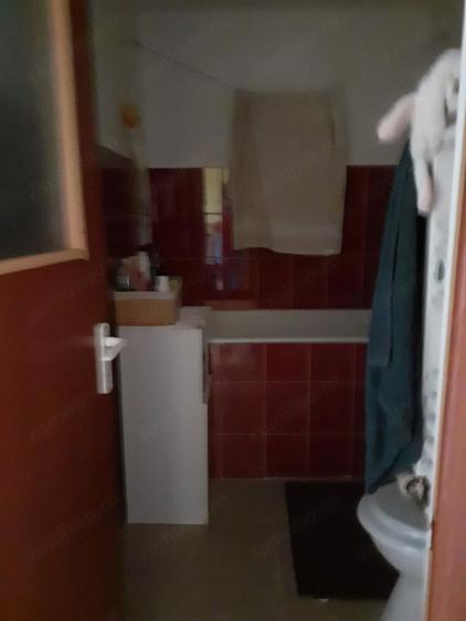 apartament in cartierul Rogerius Oradea - 8
