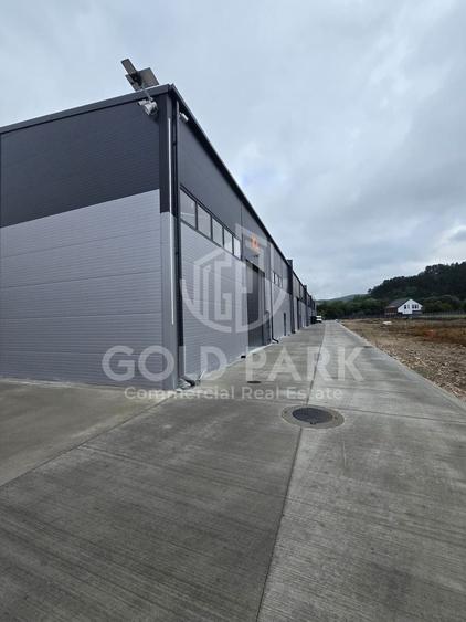 Spatiu Industrial - Autoriztie ISU - 590 mp. Acces TIR - 4