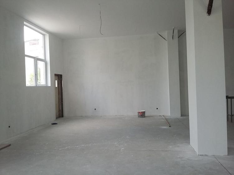 Theodor Pallady  300 mp - 3