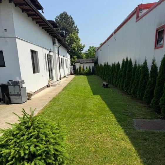 Spatiu comercial ultracentral de inchiriat - 8