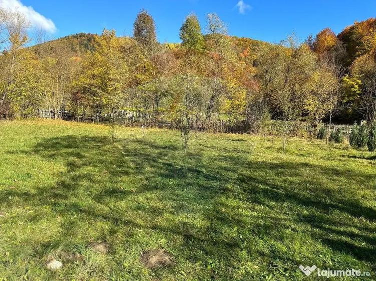 Teren de vanzare Cuiejdel 1350 mp - 1