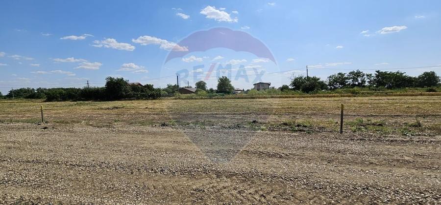 Terenuri intravilane Frumușani – Preț excelent, investiție sigură! - 2