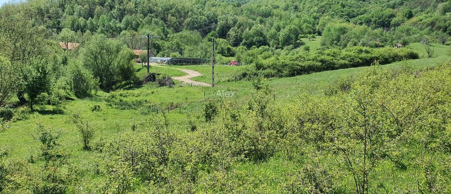 Teren 5.850mp poieni?a de vis la 2km de dunare, crusovita