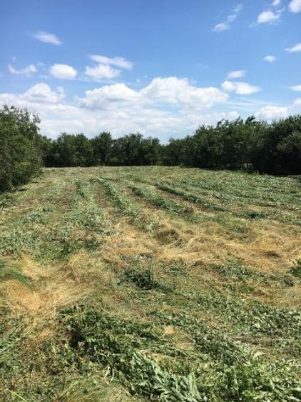 Vand teren intravilan in Tulca - 3