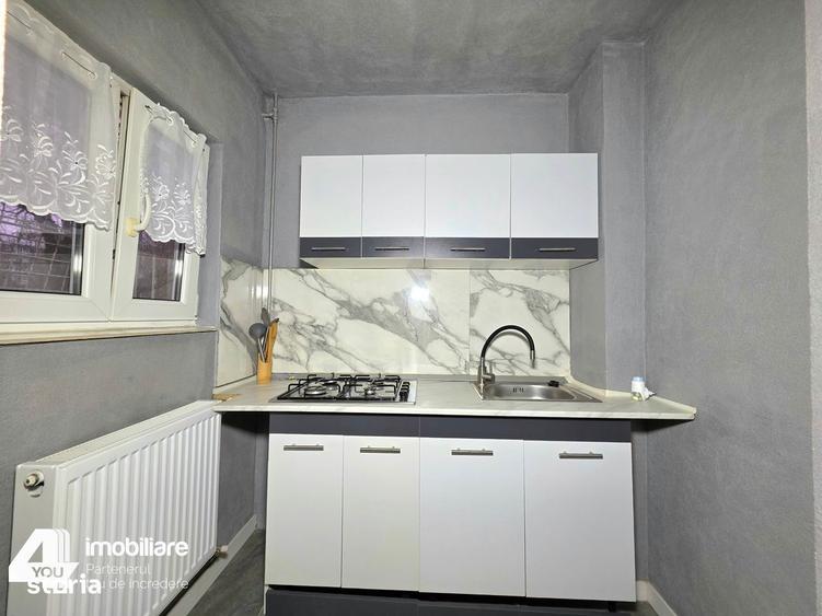 Apartament 1 camera de inchiriat Micalaca, mobilat, utilat, renovat - 2